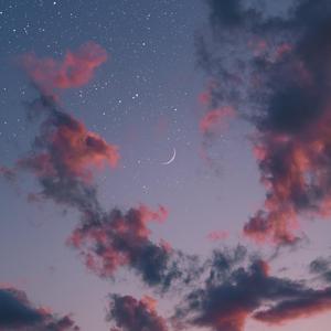 青草视频入口在线观看
